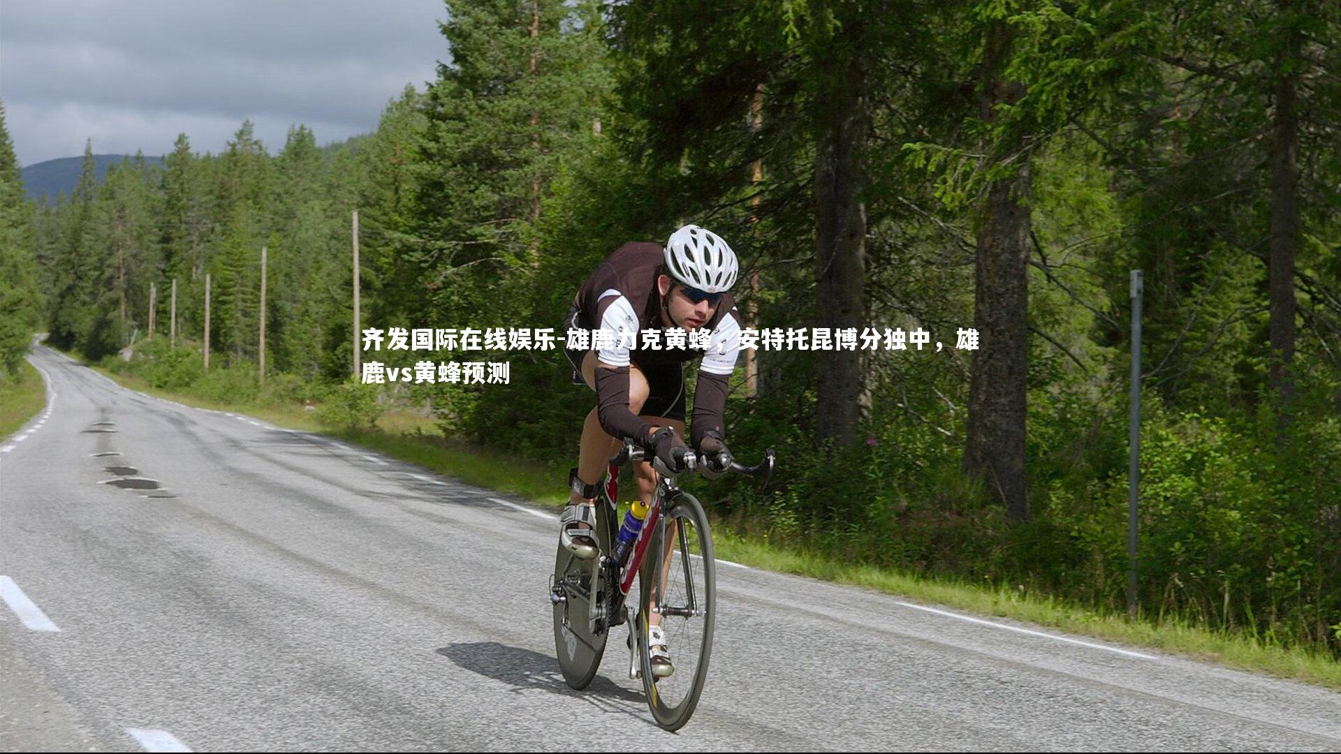 雄鹿力克黄蜂,安特托昆博分独中,雄鹿vs黄蜂预测